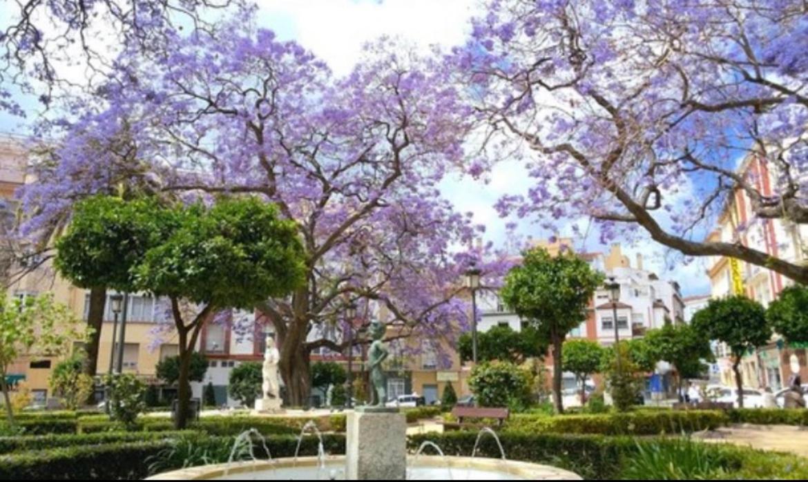 Apartament Historical Center Ollerias Malaga Zewnętrze zdjęcie